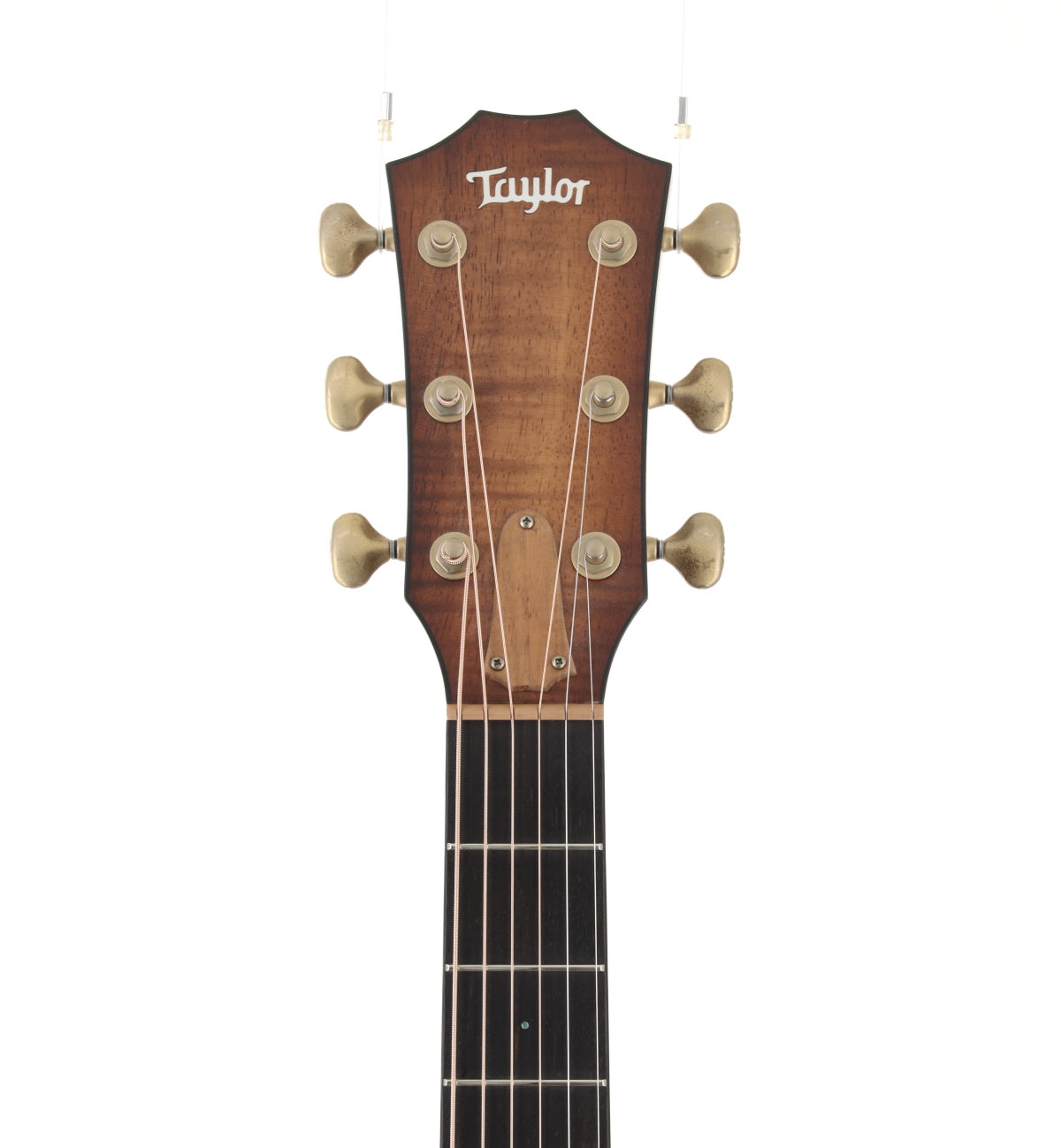 [SN 1104154131] USED TAYLOR / TGS2014 GAce-Koa [03]