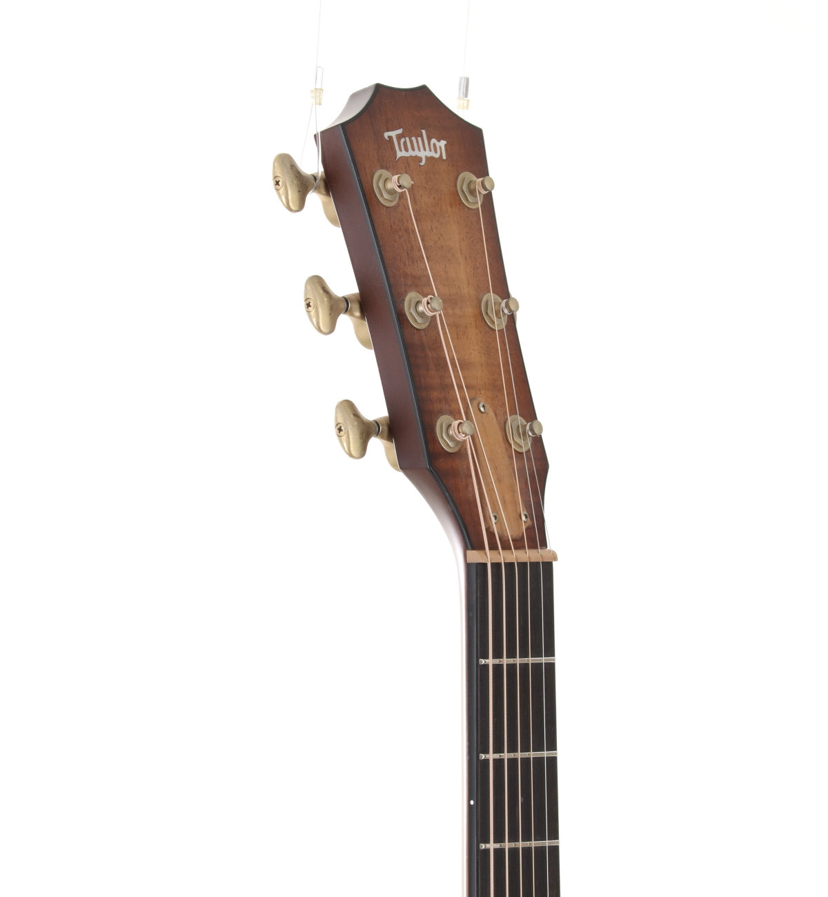 [SN 1104154131] USED TAYLOR / TGS2014 GAce-Koa [03]