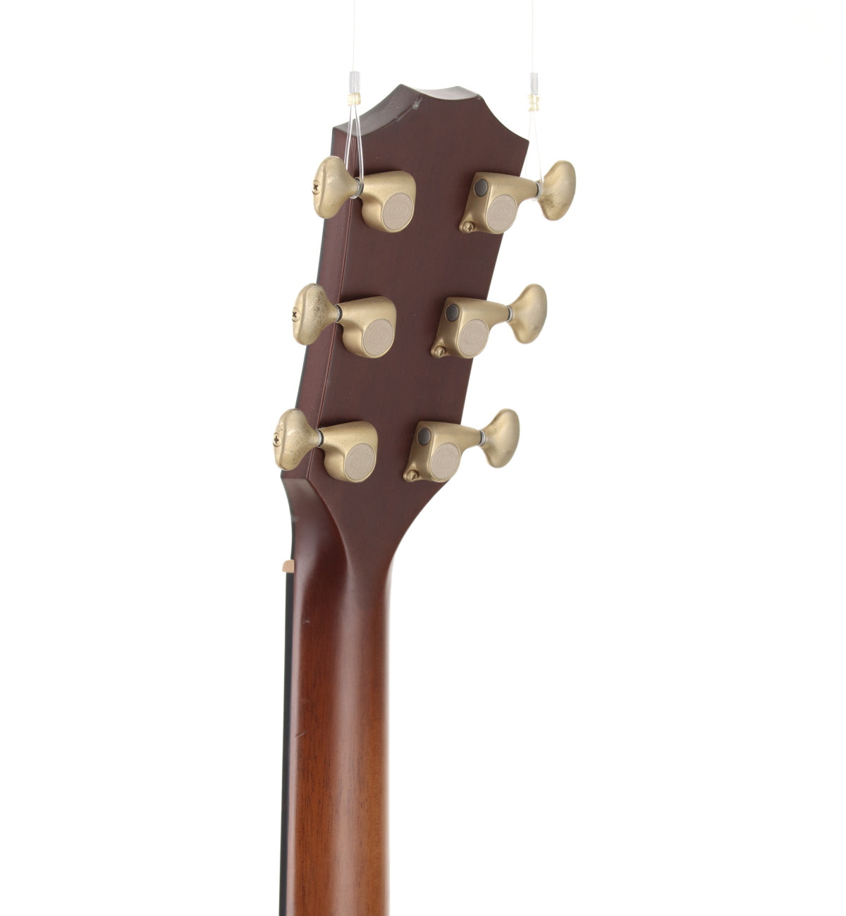 [SN 1104154131] USED TAYLOR / TGS2014 GAce-Koa [03]