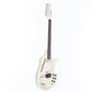 USED Jerry Jones / Electric Sitar [20]