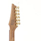 [SN I220411134] USED Ibanez / RG421HPG [10]