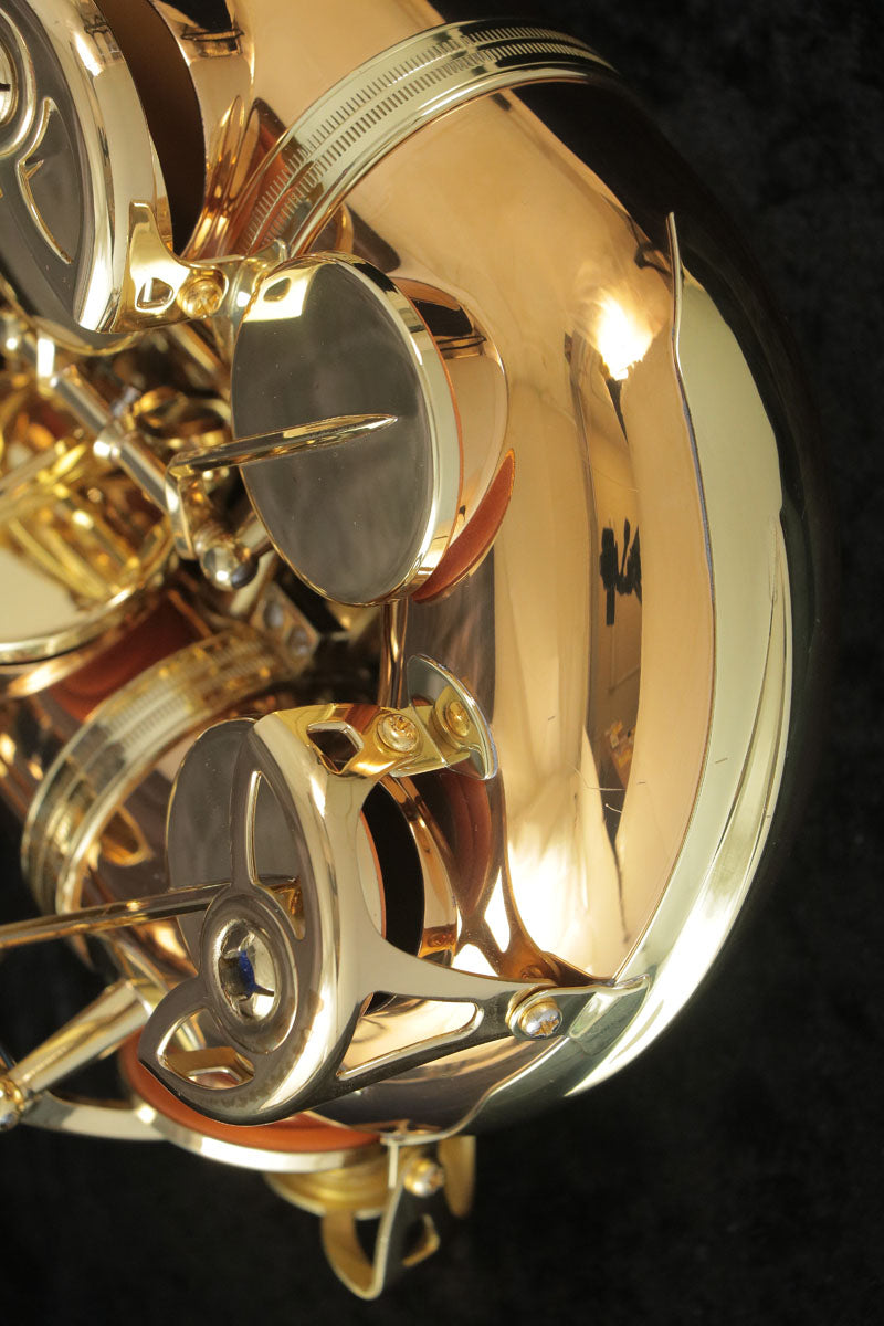 [SN 283858] USED YANAGISAWA / Alto Saxophone A-902 SN.0028xxxx [03]