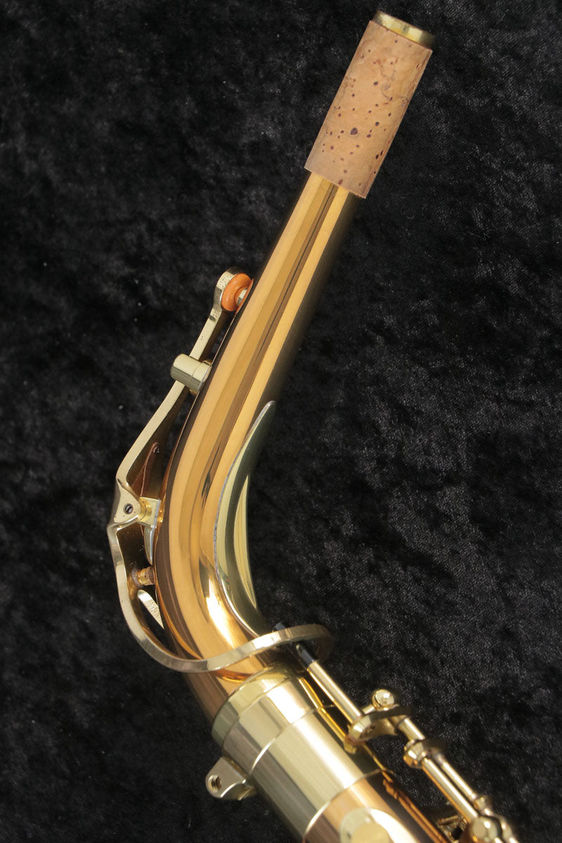 [SN 283858] USED YANAGISAWA / Alto Saxophone A-902 SN.0028xxxx [03]