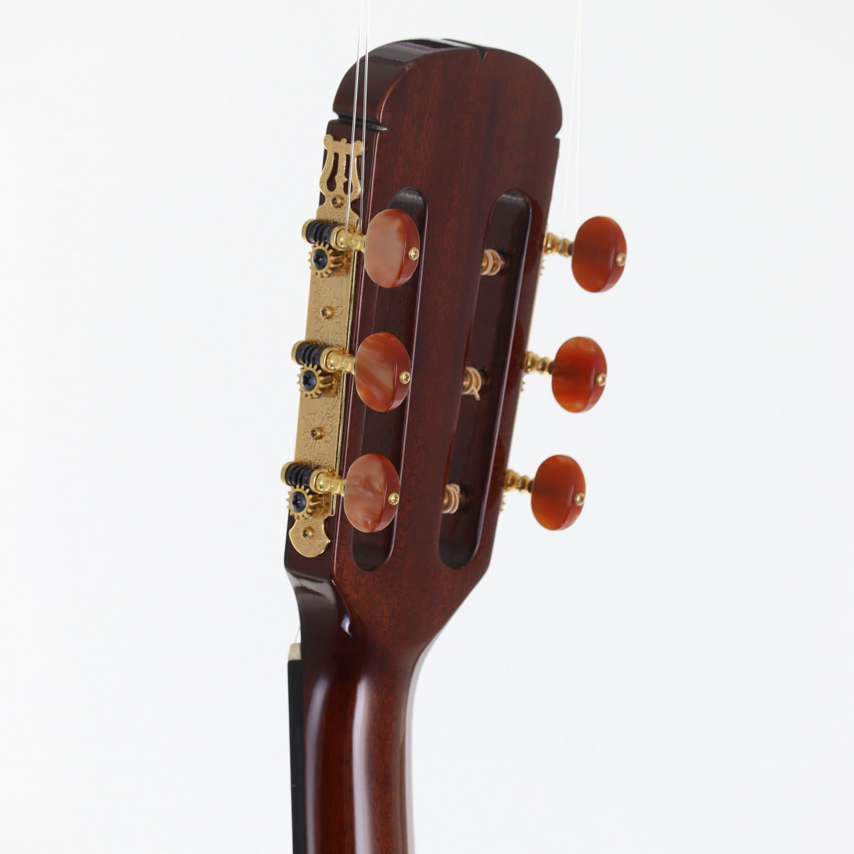 USED Aria Aria / The Sandpiper SP-CST Natural [20]