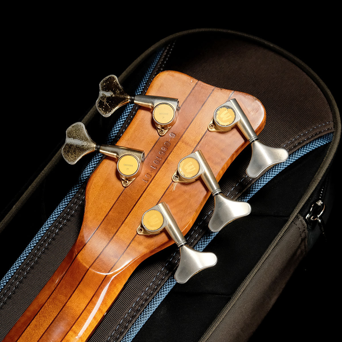 [SN G-86101-01] USED WARWICK / Streamer Stage 1 5st Wide Neck [05]