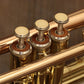 [SN 008813] USED YAMAHA / Yamaha YTR-3320 B flat trumpet [10]