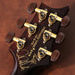 [SN 12 193990] USED Paul Reed Smith (PRS) / 2012 Private Stock #3979 Modern Eagle 24 Frets Vintage Amber Smoked Burst [03]