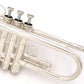 [SN 496812] USED YAMAHA / YTR-8335RGS Trumpet [09]
