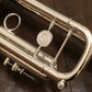 [SN 819565] USED HOLTON T101B B flat trumpet [10]
