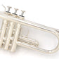 [SN 730216] USED yamaha / ytr-4335gs [11]