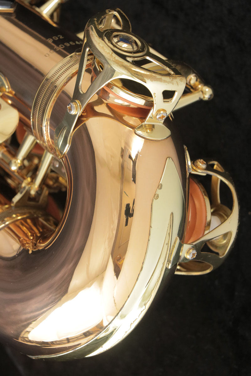 [SN 00309064] USED YANAGISAWA Yanagisawa / Alto Saxophone A-902 SN.0030xxxx All tampos replaced [03]