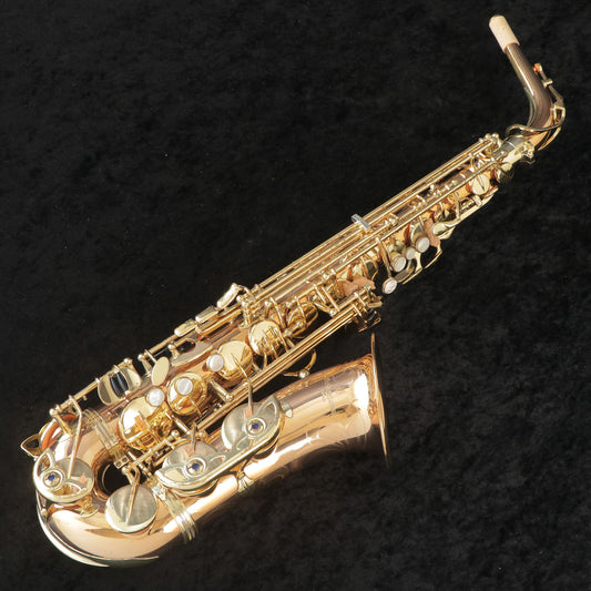 [SN 00309064] USED YANAGISAWA Yanagisawa / Alto Saxophone A-902 SN.0030xxxx All tampos replaced [03]