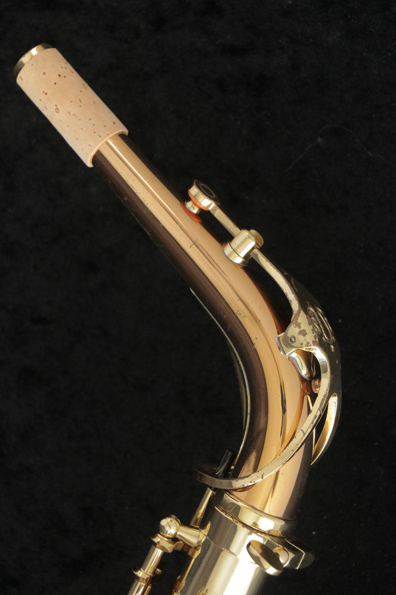 [SN 00309064] USED YANAGISAWA Yanagisawa / Alto Saxophone A-902 SN.0030xxxx All tampos replaced [03]