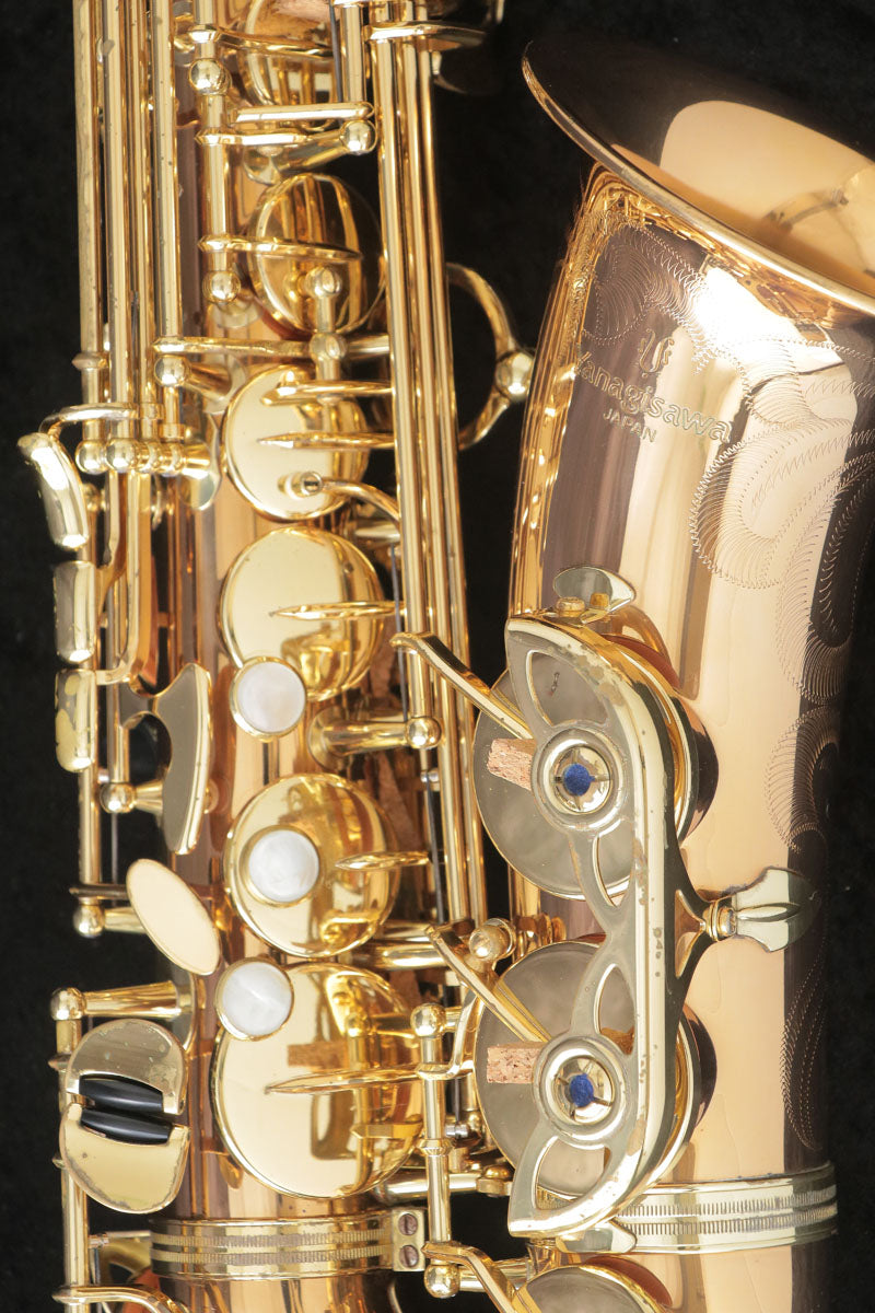 [SN 00309064] USED YANAGISAWA Yanagisawa / Alto Saxophone A-902 SN.0030xxxx All tampos replaced [03]