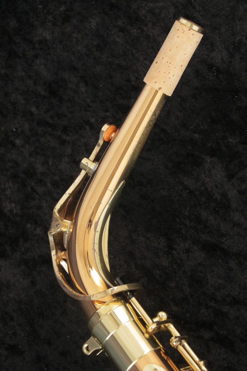 [SN 00309064] USED YANAGISAWA Yanagisawa / Alto Saxophone A-902 SN.0030xxxx All tampos replaced [03]