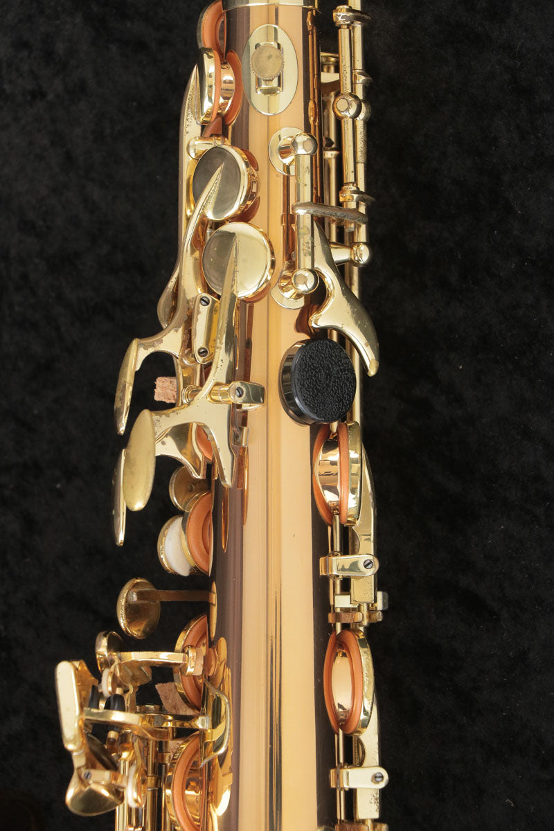 [SN 00309064] USED YANAGISAWA Yanagisawa / Alto Saxophone A-902 SN.0030xxxx All tampos replaced [03]