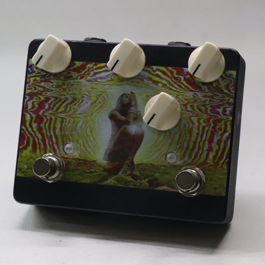 [SN VK885] USED LovePedal / COT50 ETERNITY STACK [11]