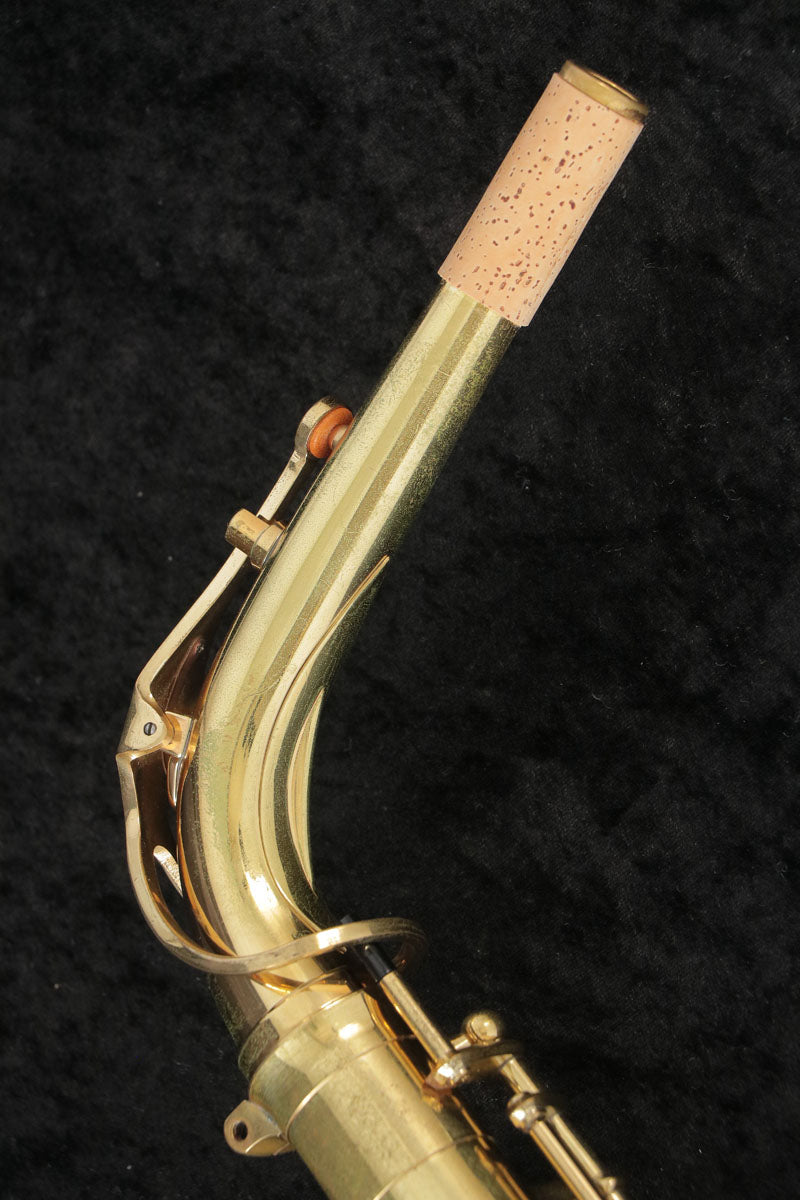 [SN 222474] USED YANAGISAWA / Alto A-901 SPECIAL Alto saxophone, all tampos replaced SN.0022xxxx [03]