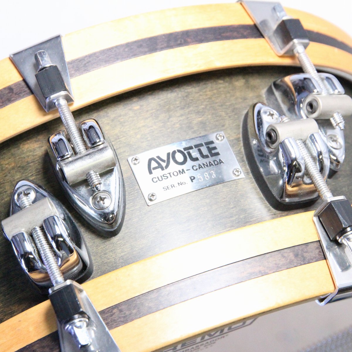 [SN P583] USED AYOTTE / Custom Wood Hoop Snare Drum 14x5 GWH1450-6 [08]