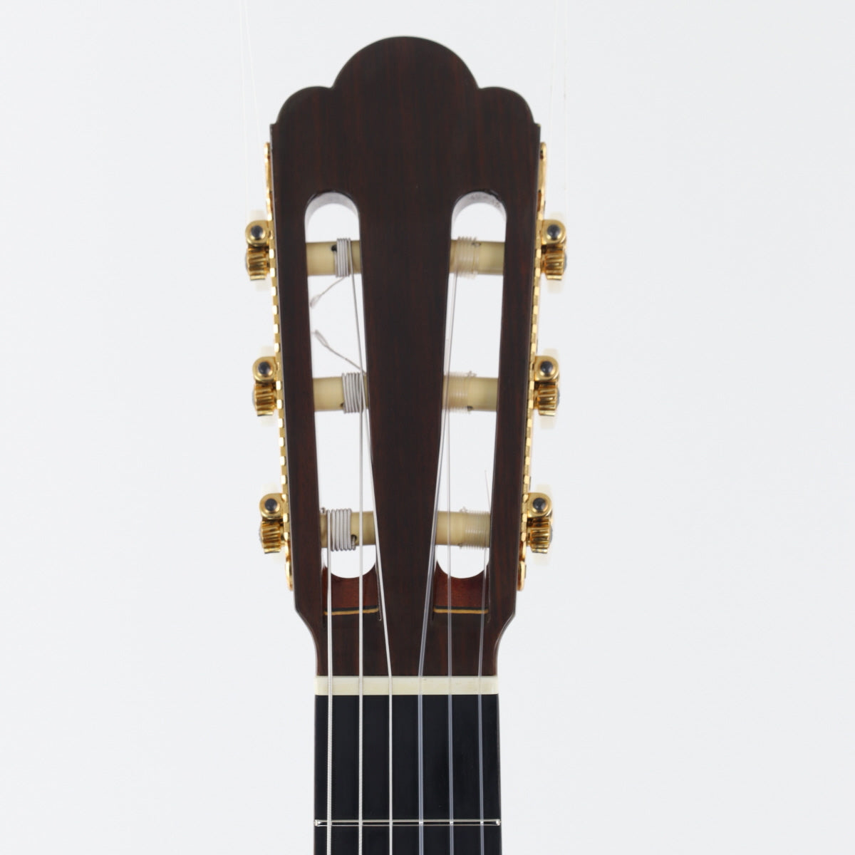 USED ASTURIAS Asturias / Custom S [20]