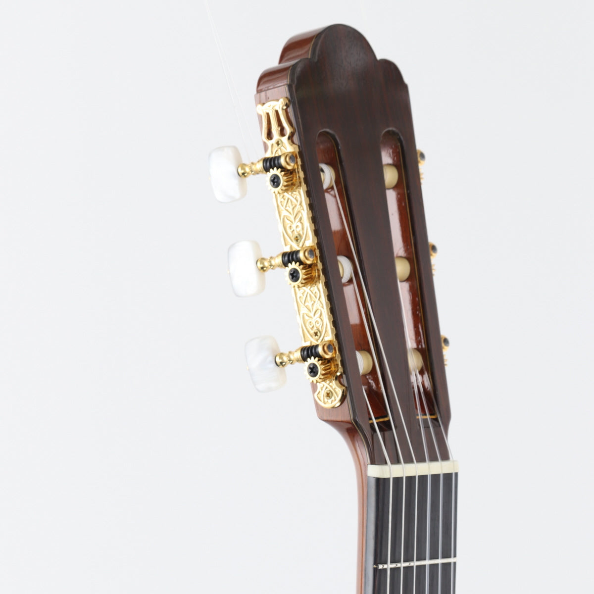 USED ASTURIAS Asturias / Custom S [20]