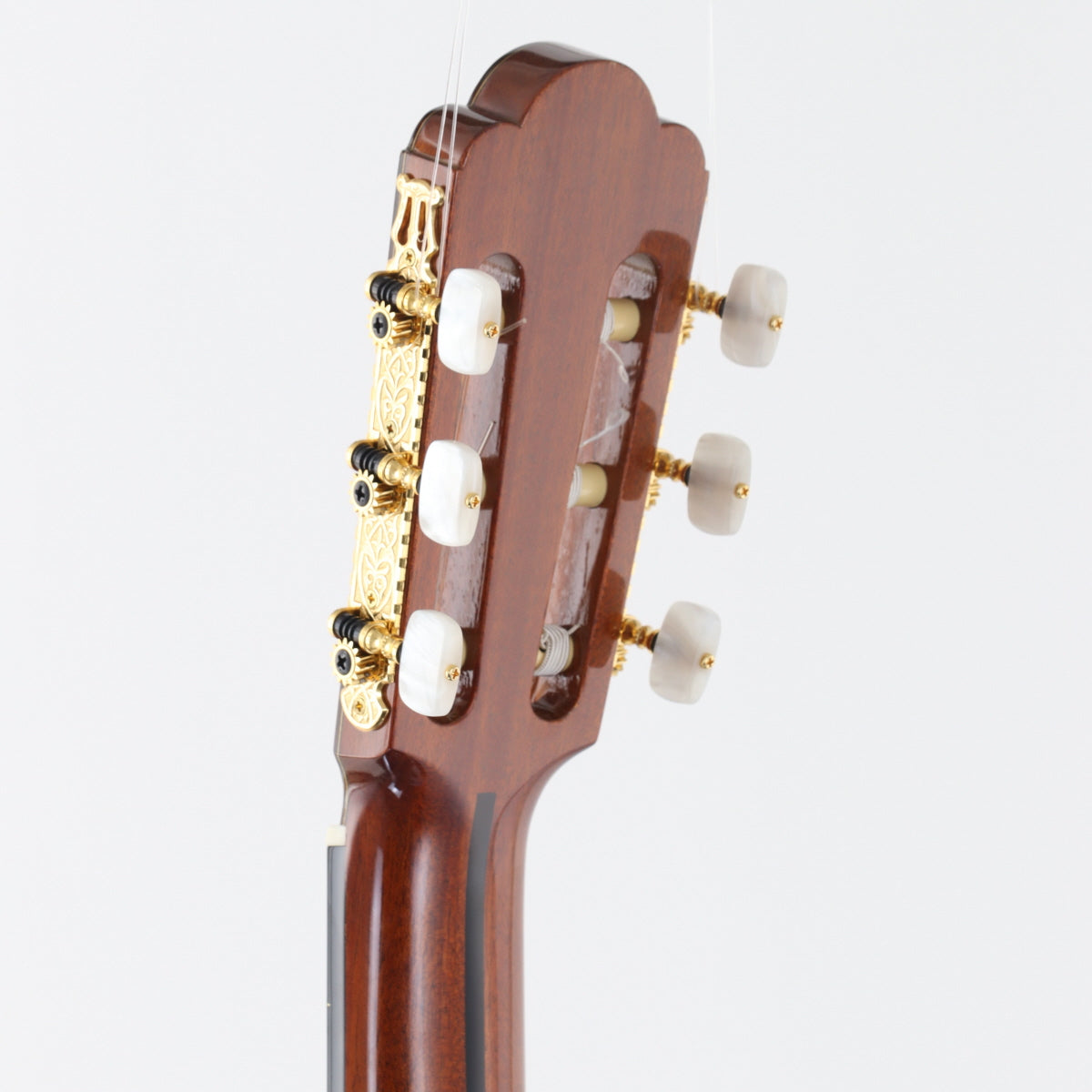 USED ASTURIAS Asturias / Custom S [20]