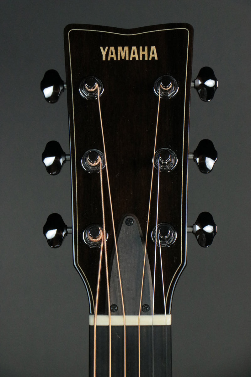 [SN IJ0020A] USED yamaha / fg9m 2023 [10]