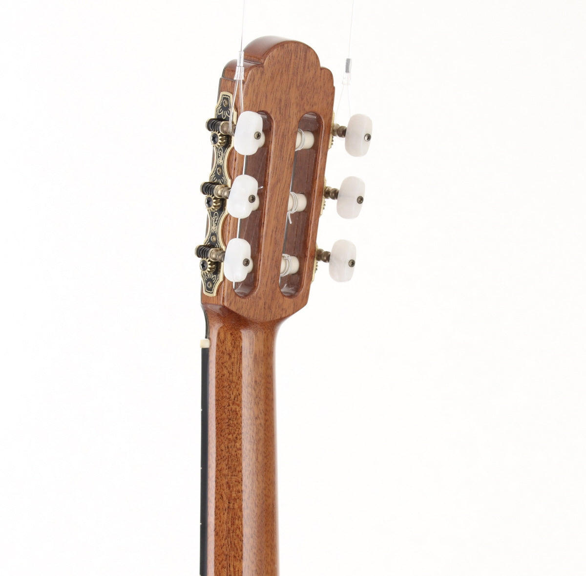 [SN 121310050] USED ARIA / A-100S-61 [10]