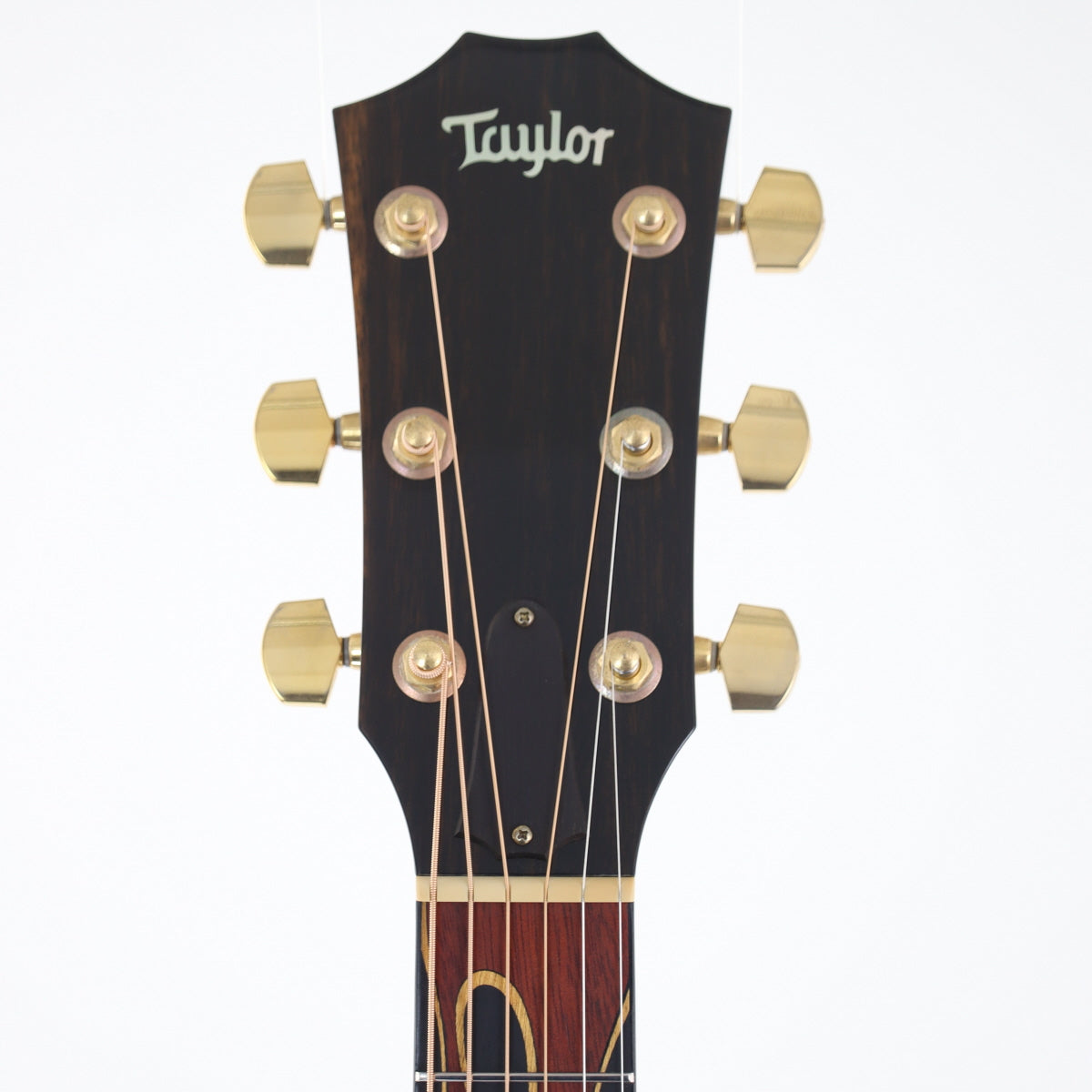 [SN 20080606144] USED Taylor Taylor / 2008-HR-LTD Hot Rod Hotei Signature [20]
