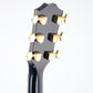 [SN 20080606144] USED Taylor Taylor / 2008-HR-LTD Hot Rod Hotei Signature [20]