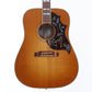 [SN 13286031] USED Gibson / Hummingbird Standard Honey Burst [11]