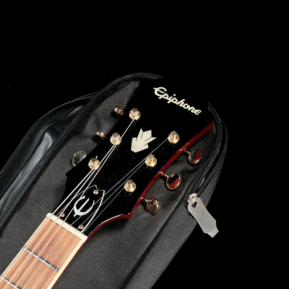 [SN 20081528597] USED Epiphone / LTD Riviera Custom P93 WR [05]