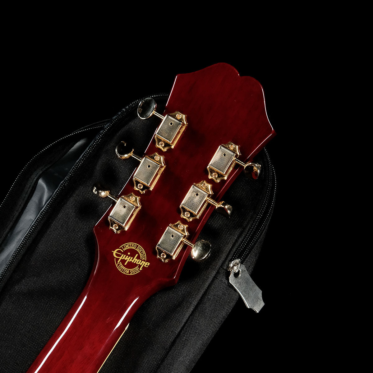 [SN 20081528597] USED Epiphone / LTD Riviera Custom P93 WR [05]