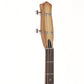 [SN 041860] USED DANELECTRO / 59DC Long Scale Bass Copper Burst [03]