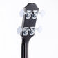 USED Epiphone / Jack Casady Bass Metallic Gold [11]
