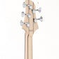 [SN 19153SE] USED DRAGONFLY / CS-5 345 Custom [10]