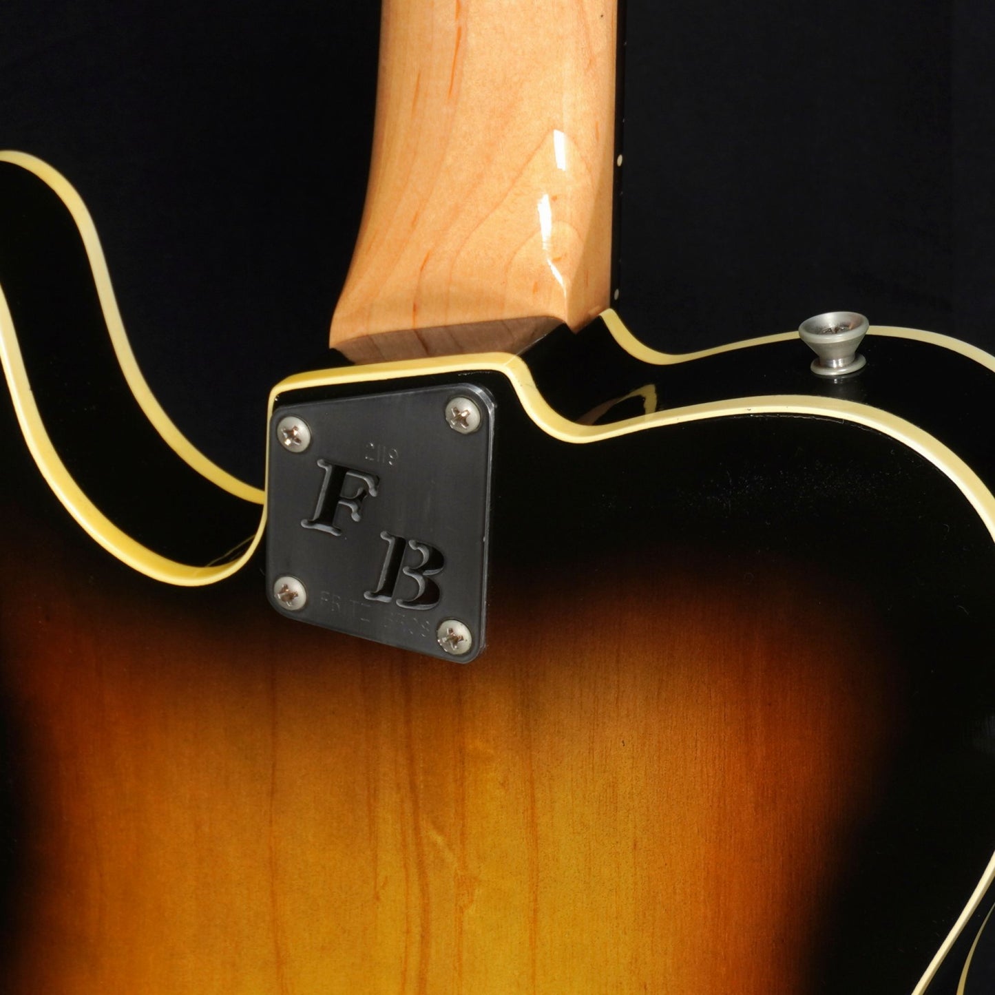 [SN 2119] USED FritzBrothers / Roy Buchanan Bluesmaster Sunburst [04]