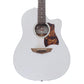 [SN 1170280] USED FUJIGEN / FGN-AG1E [12]