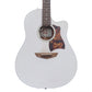 [SN 1170280] USED FUJIGEN / FGN-AG1E [12]