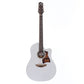 [SN 1170280] USED FUJIGEN / FGN-AG1E [12]