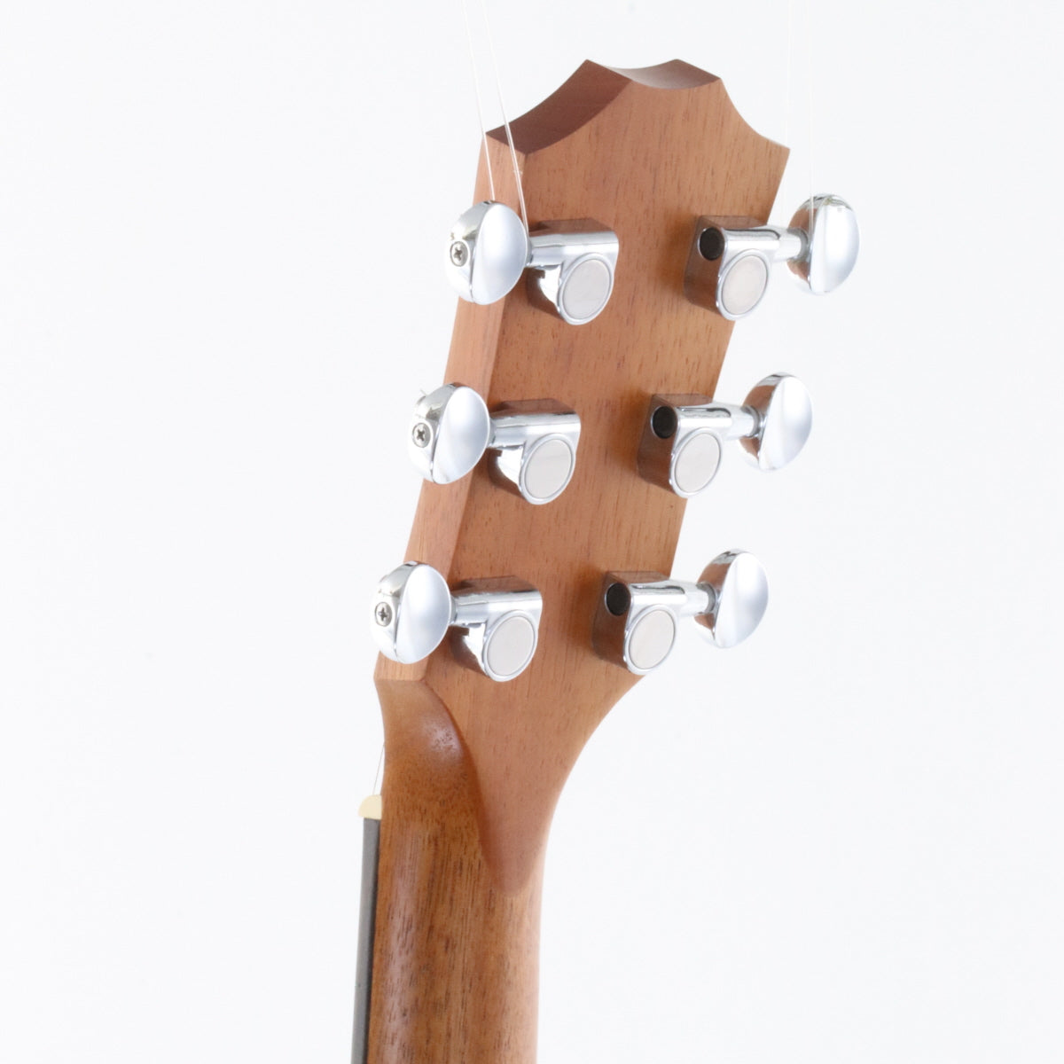 [SN 2205071209] USED Taylor / GS Mini Rosewood Natural [11]