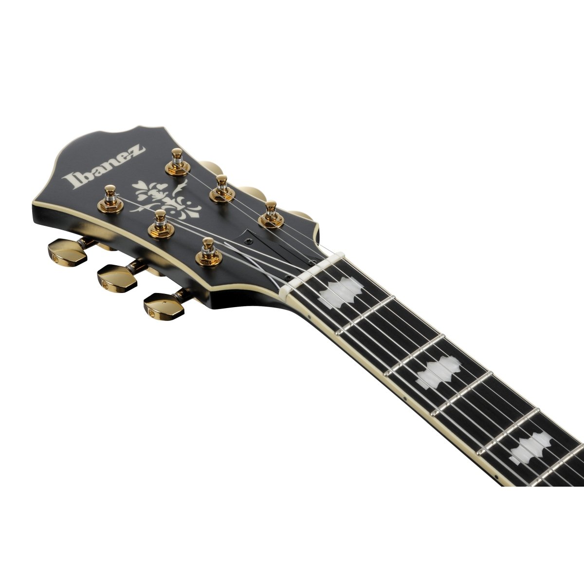 Ibanez / Pat Metheny New Signature Model PM3C-BKL (Black Low Gloss) Ibanez Pat Metheny [80]