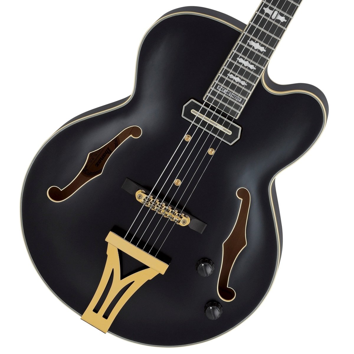 Ibanez / Pat Metheny New Signature Model PM3C-BKL (Black Low Gloss) Ibanez Pat Metheny [80]