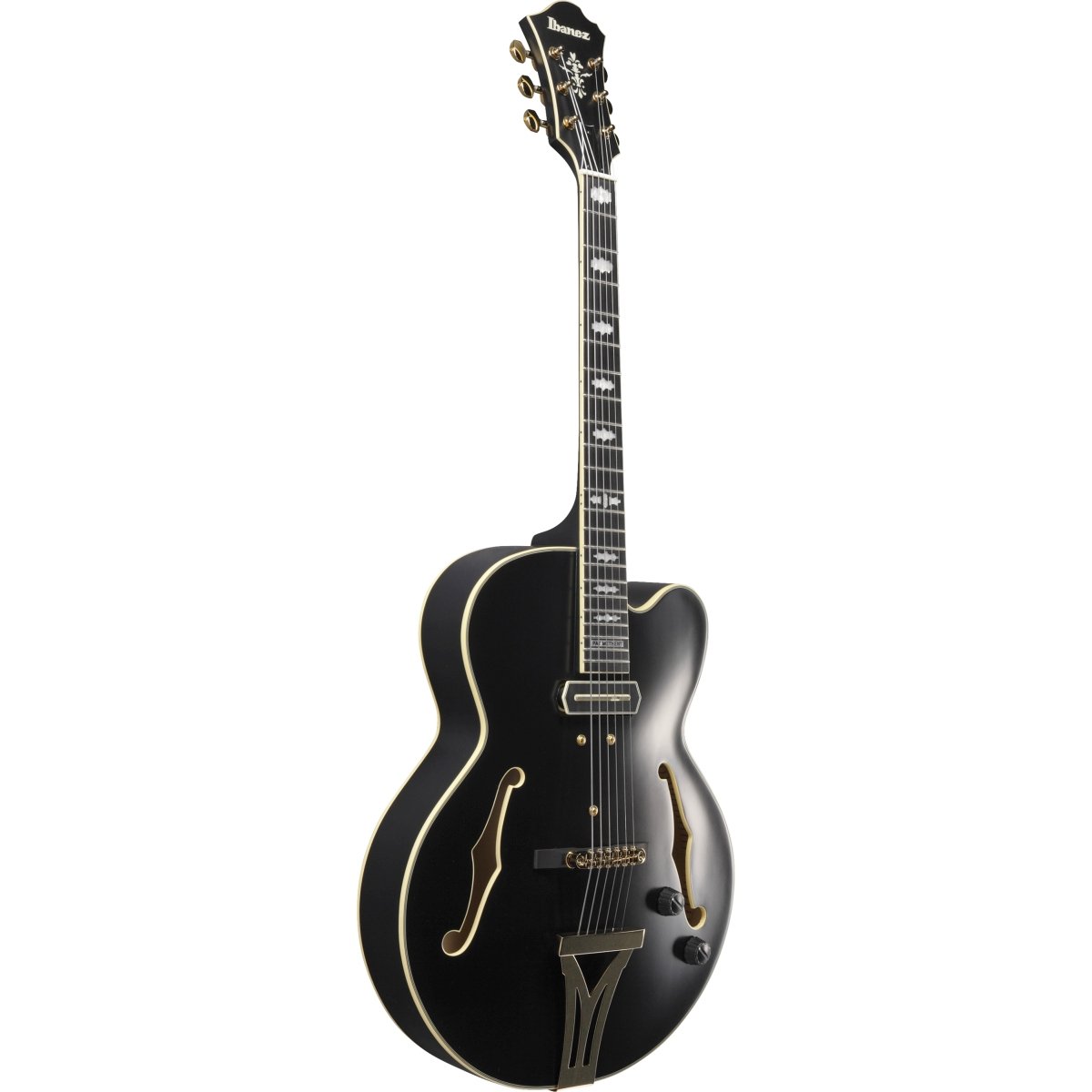 Ibanez / Pat Metheny New Signature Model PM3C-BKL (Black Low Gloss) Ibanez Pat Metheny [80]