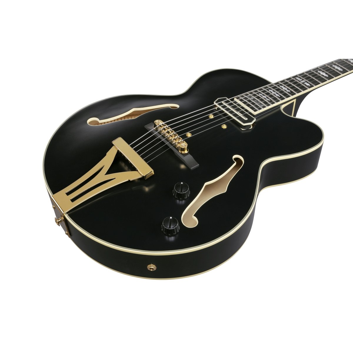 Ibanez / Pat Metheny New Signature Model PM3C-BKL (Black Low Gloss) Ibanez Pat Metheny [80]