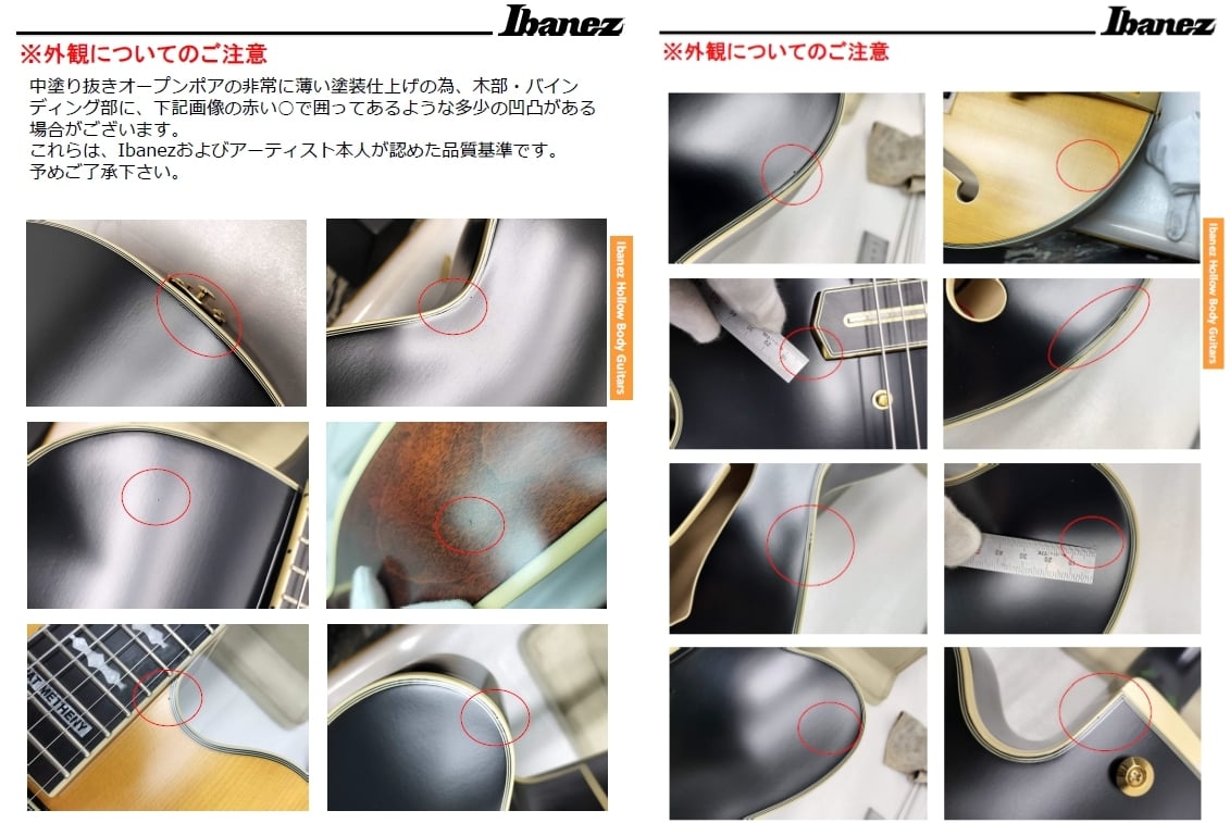 Ibanez / Pat Metheny New Signature Model PM3C-NAL (Natural Amber Low Gloss) Ibanez Pat Metheny [80]