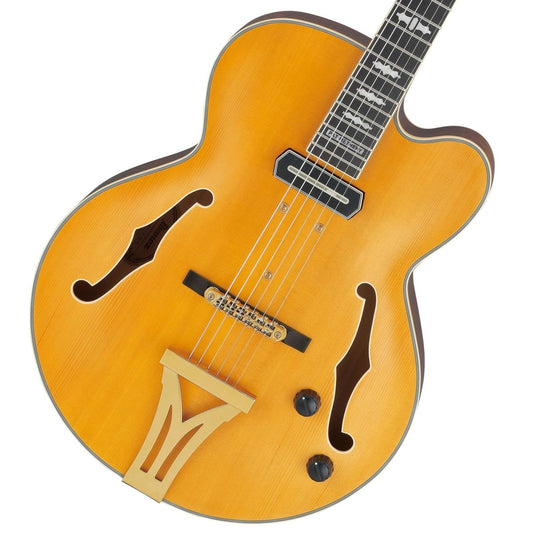 Ibanez / Pat Metheny New Signature Model PM3C-NAL (Natural Amber Low Gloss) Ibanez Pat Metheny [80]