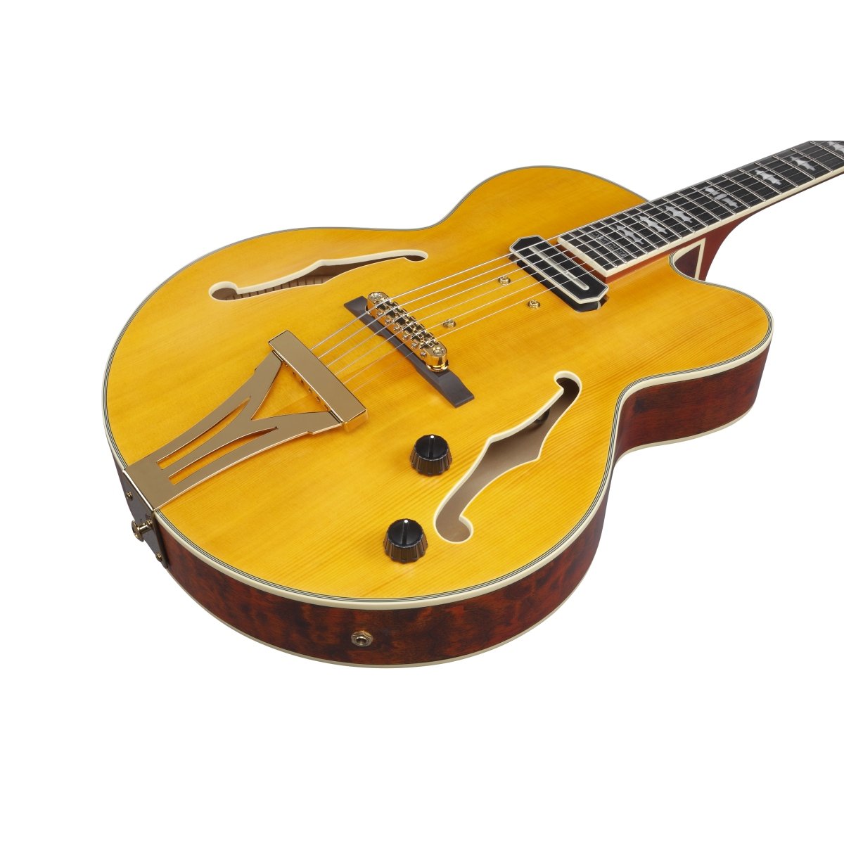 Ibanez / Pat Metheny New Signature Model PM3C-NAL (Natural Amber Low Gloss) Ibanez Pat Metheny [80]