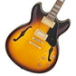 Ibanez / John Scofield Signature JSM10EM-TTB (Two-tone Burst) Ibanez John Scofield [80]