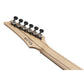 Ibanez / RGA21P1PB-DRL (Deep Twilight Burst Low Gloss) Ibanez Electric Guitar [80]